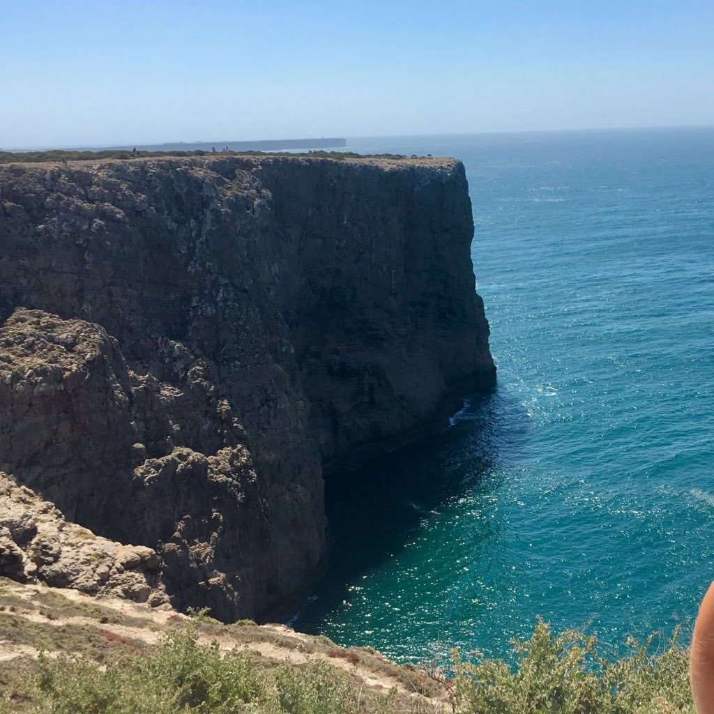 macarronicheese's profile picture. 