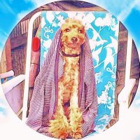 むぎお (@mugi0726) 's Twitter Profile Photo