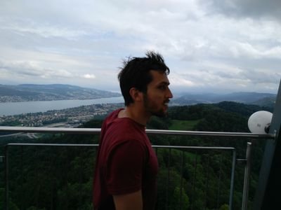 PhD Student @ETHZ / SNLab. Sociology, social psychology on networks, opinions. Extremely online.