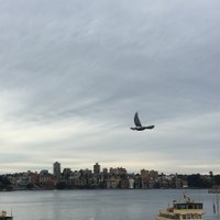 Daniel Moi (@dm1199) 's Twitter Profile Photo Daniel Moi (@dm1199) 's Twitter Profile Photo