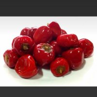 窝边草雑草 (@wobiankusa) Twitter profile photo