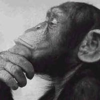 Connardsansfrontière (@initialhim) 's Twitter Profile