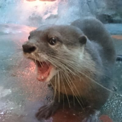 hamano_seiya's profile picture. 何でもそこそこ出来るようになりたい。横浜→広島→東京→埼玉→高知在住。主に本とスポーツと映画について。出版業界で苦悶中/いきものがかり/ベイスターズ/読書/スポーツ観戦/47都道府県旅行