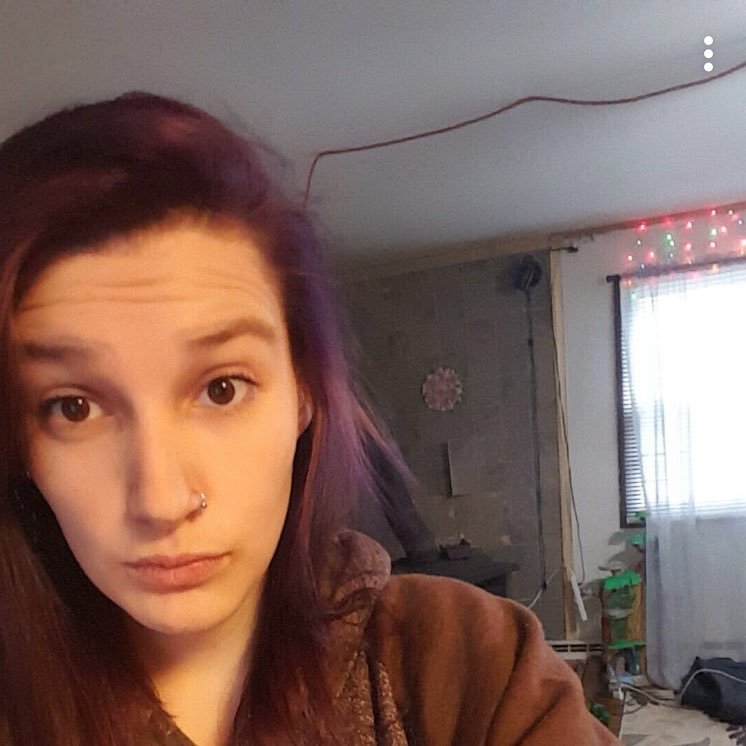 17Ilovepandas's profile picture. 