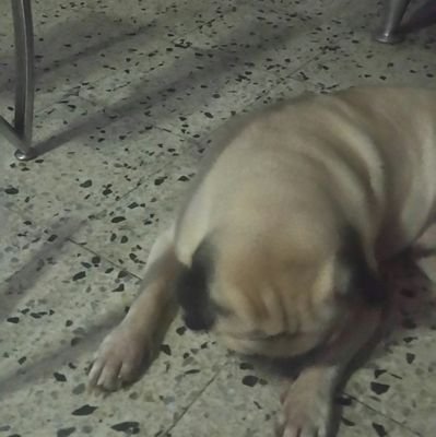 VictorG31109957's profile picture. Persona  profesional amantes a la naturaleza y a su país que es Venezuela.