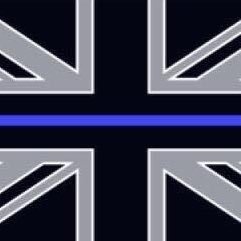 SteveMckenna126's profile picture. Diver, Biker. & Thunder Grey. Travelling with Lola. Adventure before Dementia. Now fully vaccinated !🤿🎱GWG Member