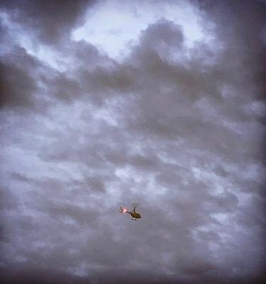 qqxing_hosi's profile picture. .