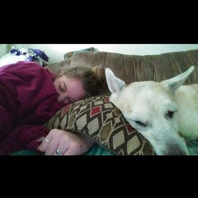 19howland's profile picture. 