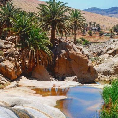 SoizicVgt's profile picture. 