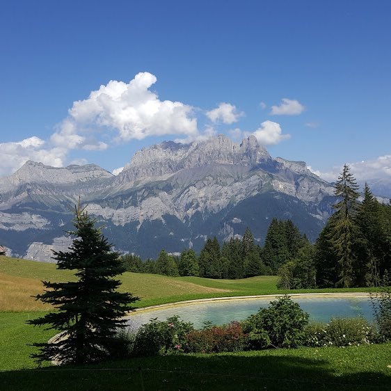 manonmrlc's profile picture. Basket Basket Handball Téléréalité