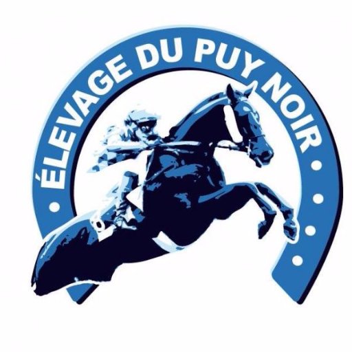 Bienvenue sur le compte officiel de l'élevage du Puy Noir. Suivez l’actualité de notre élevage avec nos chevaux qui font notre réussite