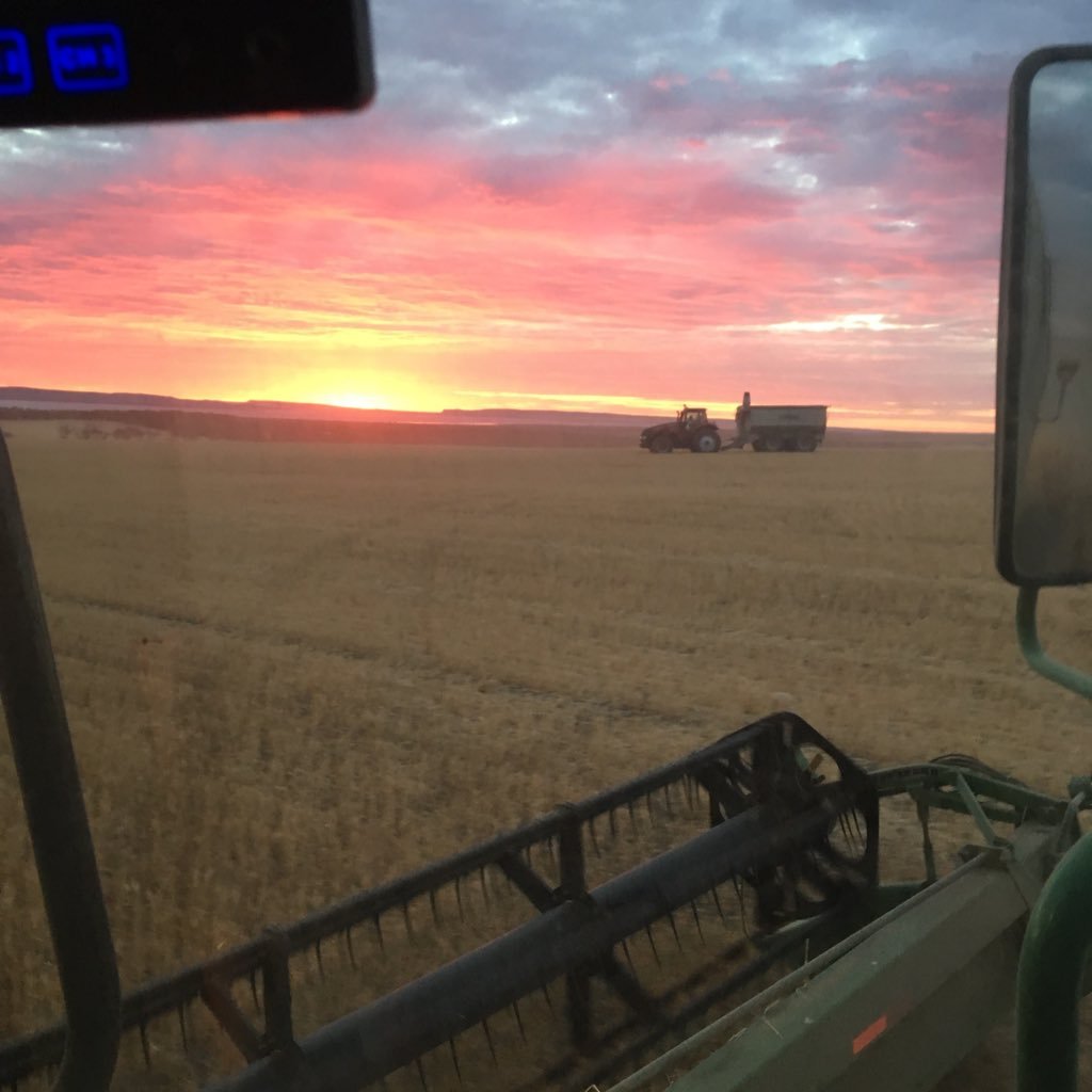 Cereal & sheep farmer on the west coast of EP Port Kenny SA