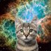 Nova_Cat (@nova_catz) Twitter profile photo Nova_Cat (@nova_catz) Twitter profile photo