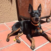 Eduardo Montalvo (@eduardomotalvo) 's Twitter Profile Photo Eduardo Montalvo (@eduardomotalvo) 's Twitter Profile Photo