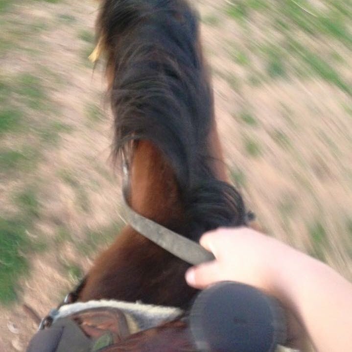 big_dennis51's profile picture. 