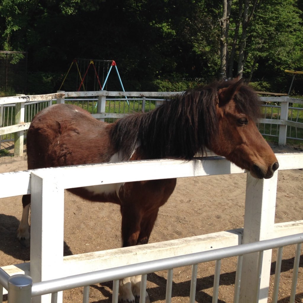 moumouuma's profile picture. ヨーロッパにいます。twitter不慣れなコンサバガン子ミセスです。マイペースにつぶやき始めました。