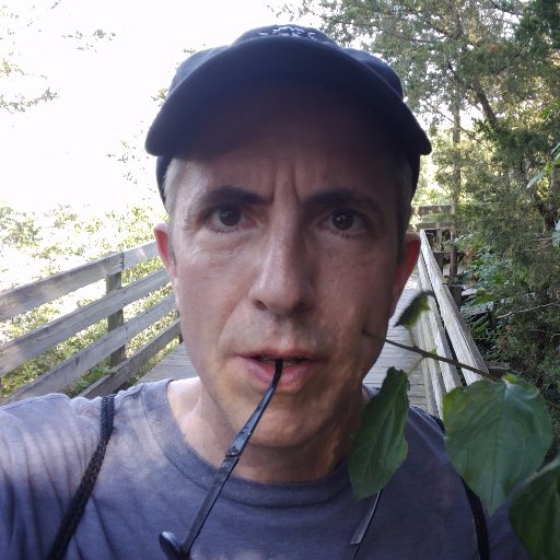 KurtRoskopf's profile picture. 