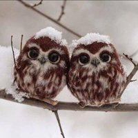 Miz_Behaving (@miz_behaving) 's Twitter Profile