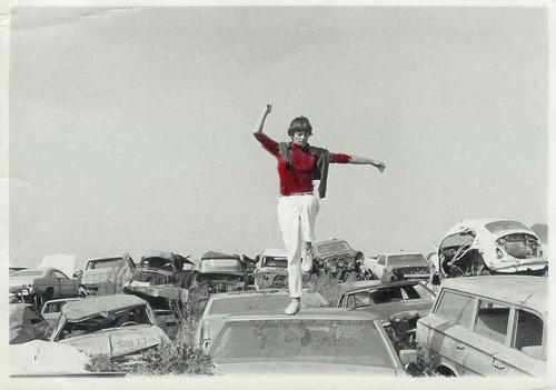 michelestclair's profile picture. Former Peace Corps Volunteer, Political Consultant, Habitat Gardener, Green.