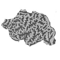 Anwar Nunez-Elizalde (@anwarnunez) 's Twitter Profile