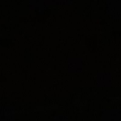 Carlos33345660's profile picture. Blanco o negro.......