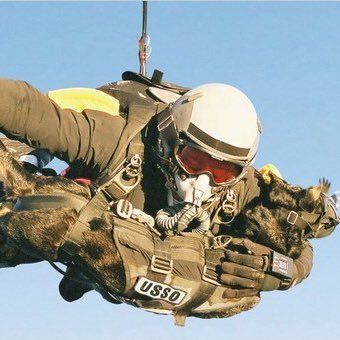 tim15251011's profile picture. Dog Lover Football fan