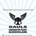 Gauls Underwater Rugby (@gaulsuwr) Twitter profile photo Gauls Underwater Rugby (@gaulsuwr) Twitter profile photo