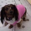 Nancy Kirchoff - @deptaker - Twitter