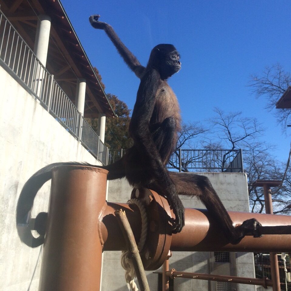 Ryu0825lol's profile picture. 