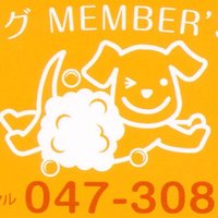 かんじ動物病院トリミング(@kanji_trimming) 's Twitter Profile Photo