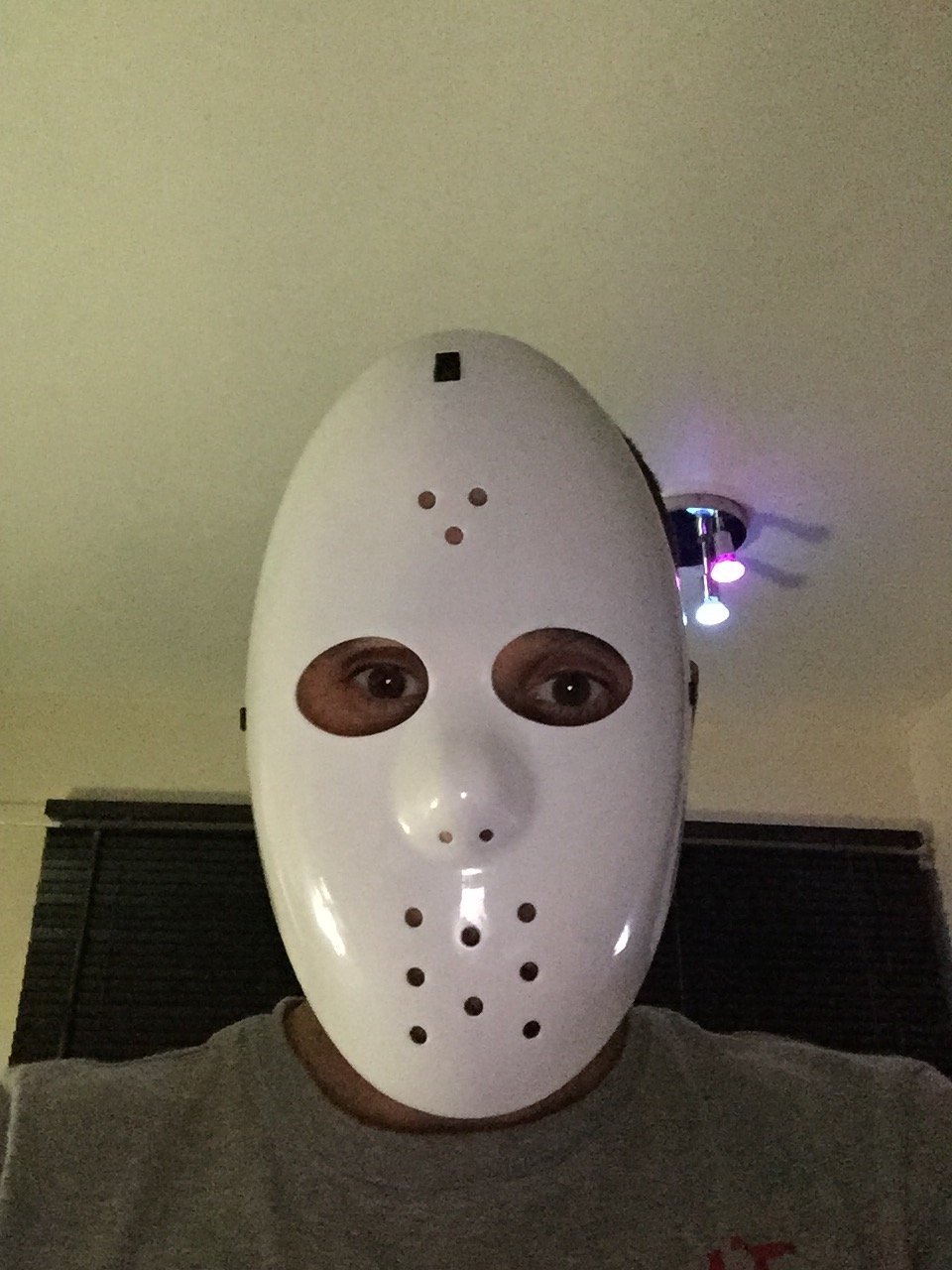 gezzerlee's profile picture. dev follow account only