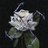 NovelAuntieGin's profile image