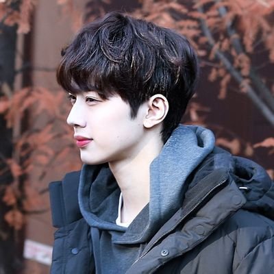 plzplzplzTT's profile picture. 