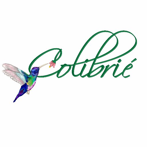 colibrie_es's profile picture. Moda ecológica con diseño
https://t.co/OxgIatfIgB
hola@colibrie.es