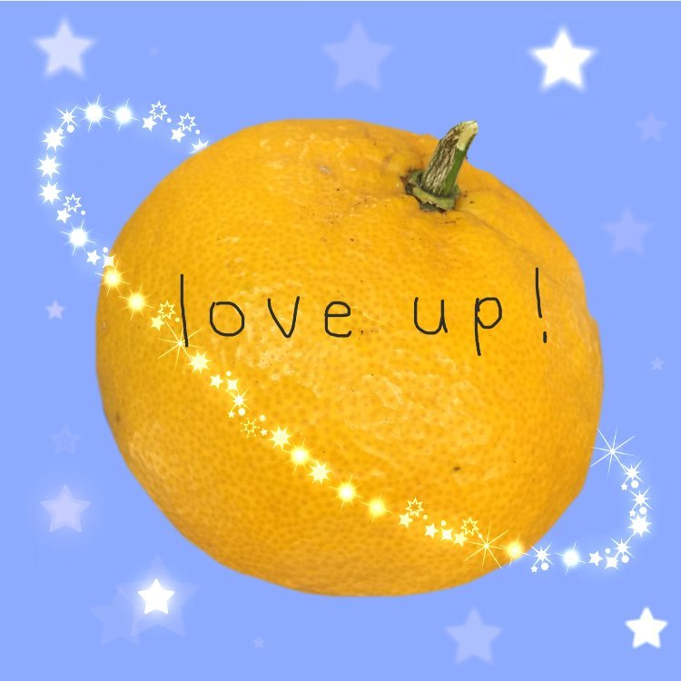 totippp's profile picture. 