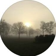 sweetiesforme's profile picture. 