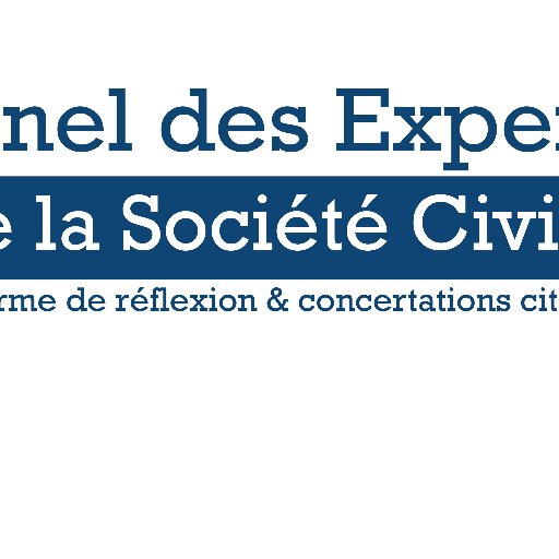 Panel des Experts de la Société Civile