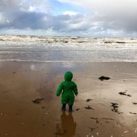 The March Fleet (@themarchfleet) 's Twitter Profile