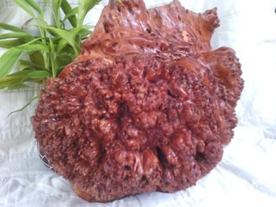 sorndyna2020's profile picture. +855965666817