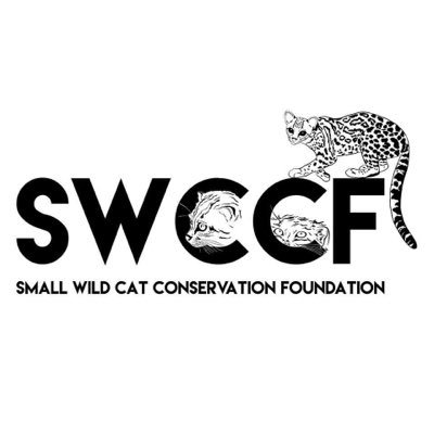 Ensuring the survival of small wild cats and their natural habitats worldwide, through education and conservation.