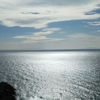 冷やしマンゴー (@ikeda_hesuke) Twitter profile photo
