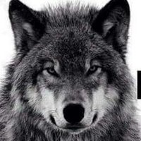 Manel (@manel60484532) 's Twitter Profile