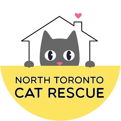 A volunteer-run, no-cage/no-kill cat rescue shelter serving Toronto & the GTA.  #cat  #catrescue #catrescuer #catrescueandsanctuary #ntcr #northtorontocatrescue