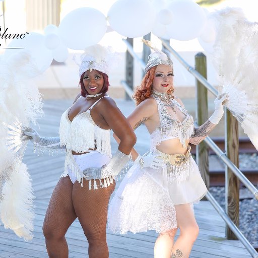 Virginia's premiere Burlesque studio, offering a full educational and community support program, based in Richmond, VA since January 2010!