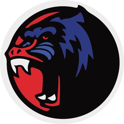 Official Twitter for the Mandrill Mob Contact: info@premierbattles.club