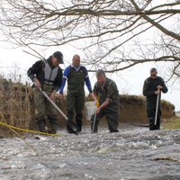Iain Turner (@ifmfish2) 's Twitter Profile Photo Iain Turner (@ifmfish2) 's Twitter Profile Photo