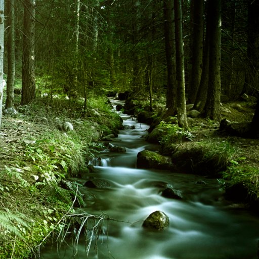 melissacrigby's profile picture. 