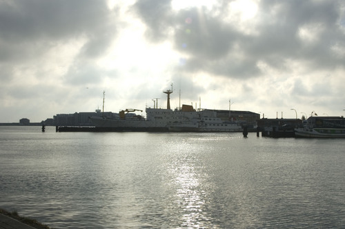 tankali's profile picture. A Ship to reach unknown shores