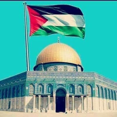 الحب يكمن هنا ☝ وطني الحبيب فلسطين
فداك دمي .
#ابن_الدولة_الفلسطينية
#سعودي #كويتي#خليجي
اهلا وسهلا فيكم احبتي
واتس ا ب 00972598880793