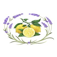 Lemon&Lavender (@lemonandlav) 's Twitter Profile